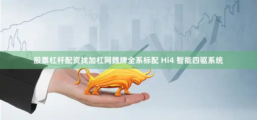 股票杠杆配资找加杠网魏牌全系标配 Hi4 智能四驱系统